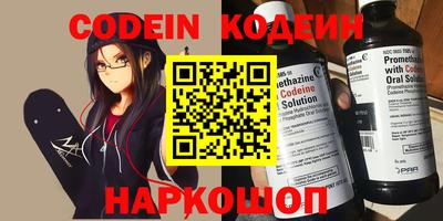 крисы Можга