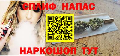 крисы Можга