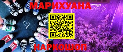 крисы Можга