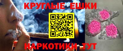 крисы Можга