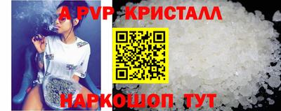 крисы Можга