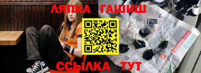 крисы Можга
