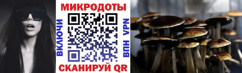 MEGA ТОР как найти это клад Галлюциногенные грибы мухоморы Нерюнгри