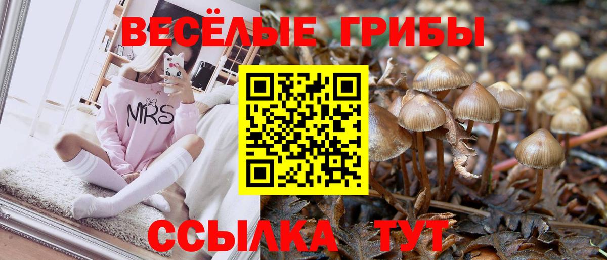 Псилоцибиновые грибы Psilocybine cubensis Нерюнгри