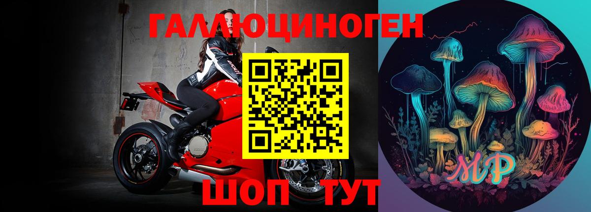 Галлюциногенные грибы мицелий  Вход с VPN  где можно купить   Нерюнгри 